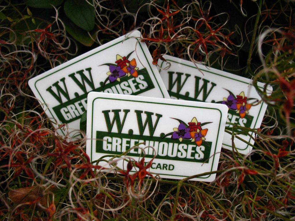 W.W. Gift Cards are still the perfect gift!