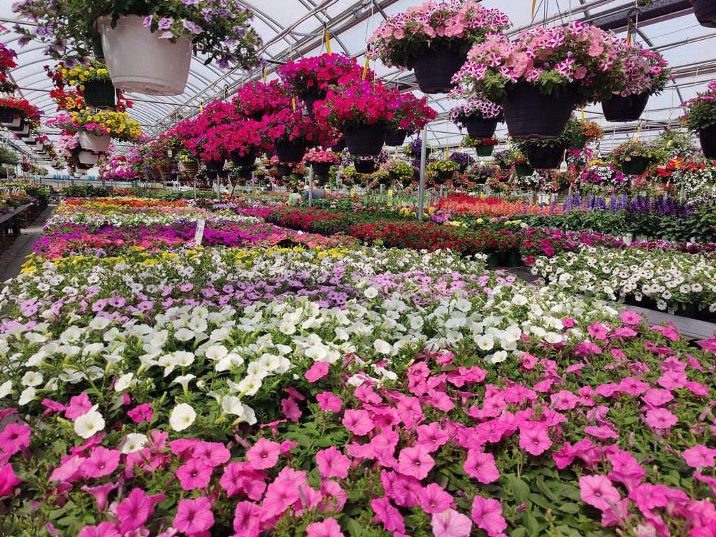 Find some Mother's Day 'WoW!' at W.W.!