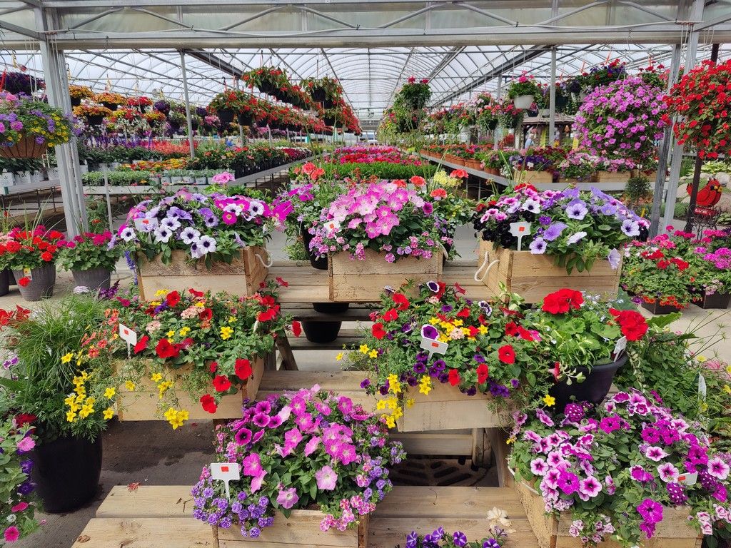 Find some Mother's Day 'WoW!' at W.W.!