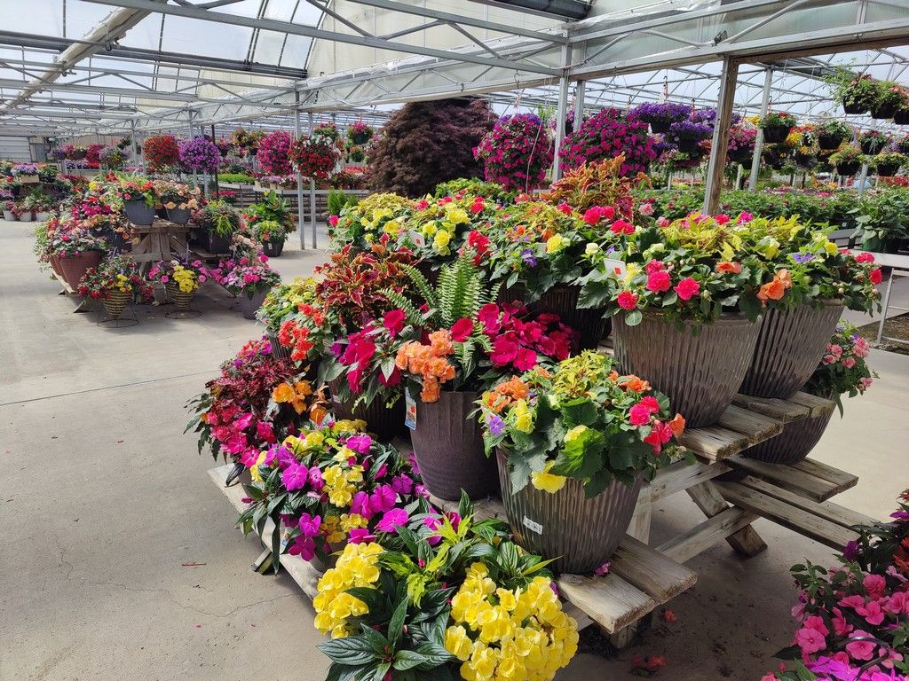 Find some Mother's Day 'WoW!' at W.W.!