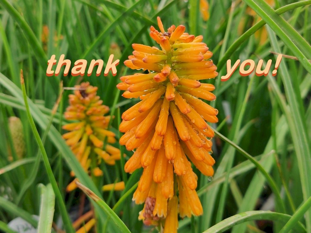 W.W. Greenhouses thanks YOU!